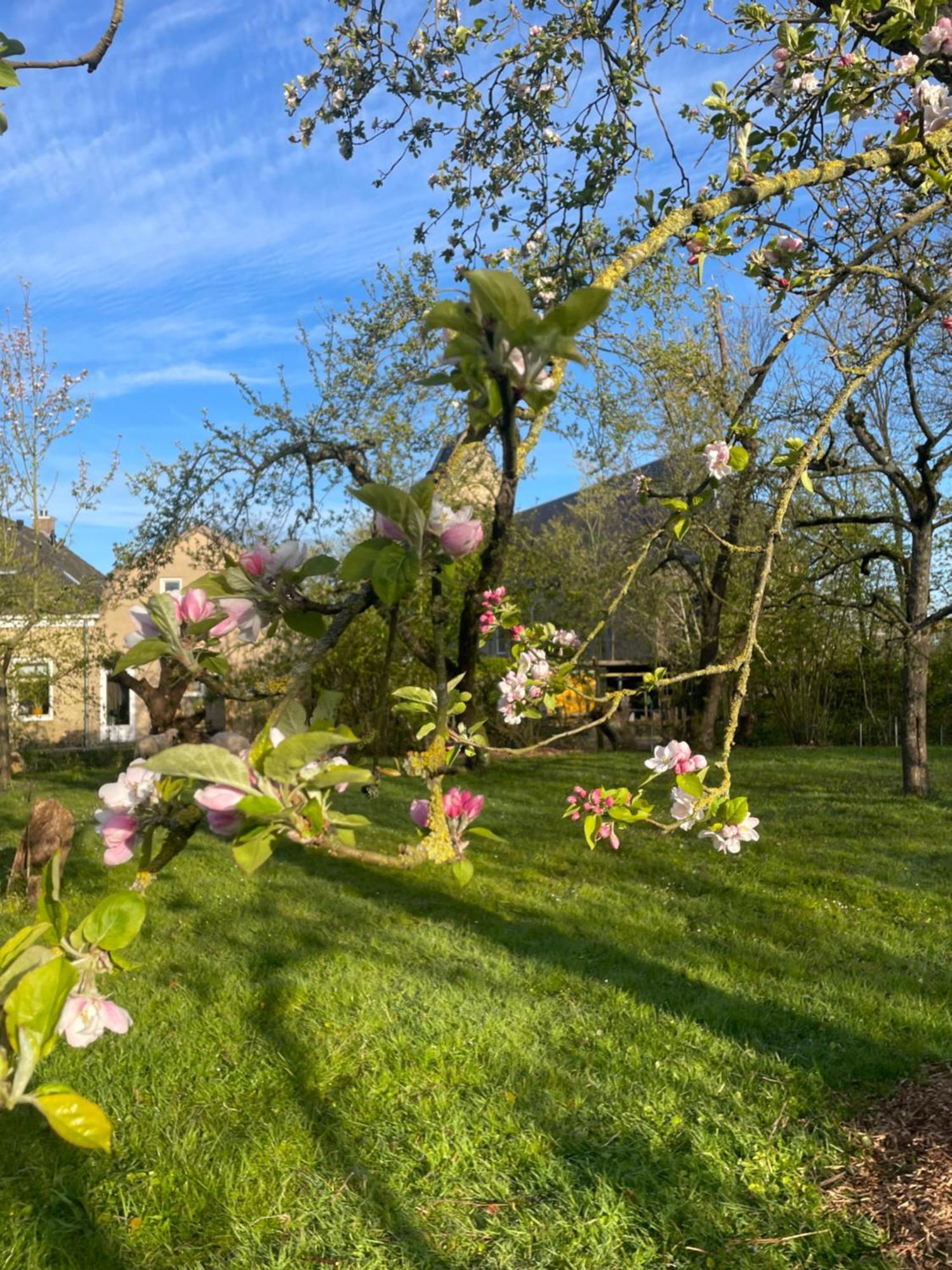 Appartement De Dageraad In Monumentale Boerderij 킴스버드 외부 사진