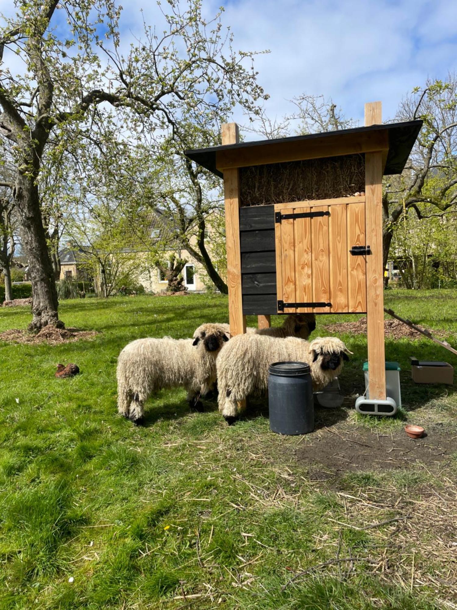 Appartement De Dageraad In Monumentale Boerderij 킴스버드 외부 사진
